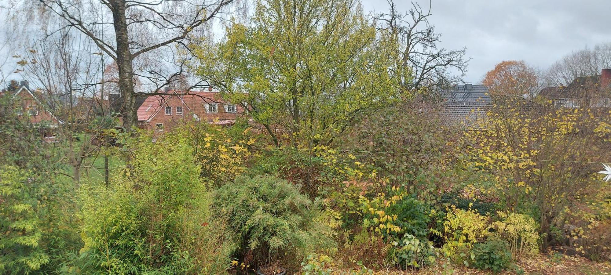 Ferienwohnung Bad Segeberg Buitenkant foto